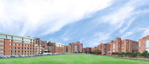 Amity College of Commerce & Finance Noida Campus photo 2